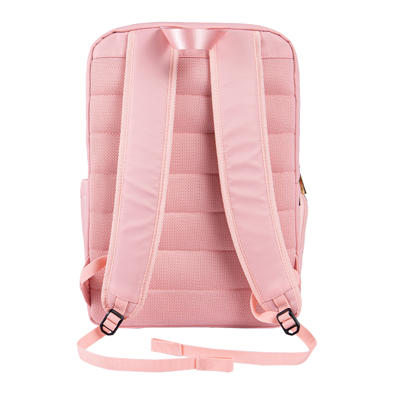 Стильная минималистская школа колледжа